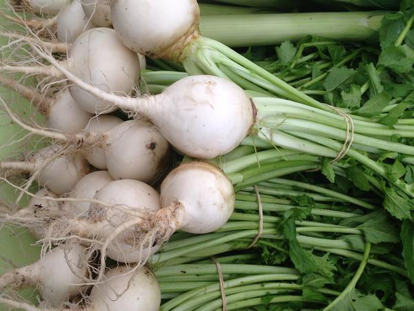 Amazing Health Benefits of Radish