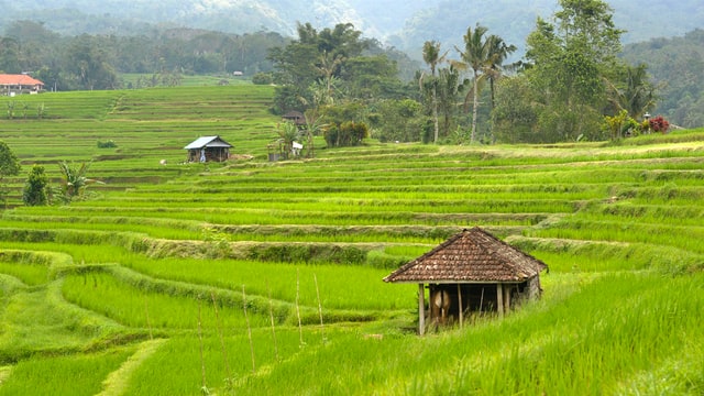 Dhondewadi – The Vegetarian Village in Maharashtra