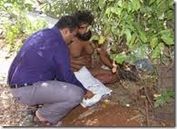 Flower seller Performs Funerals of Uncared Bodies