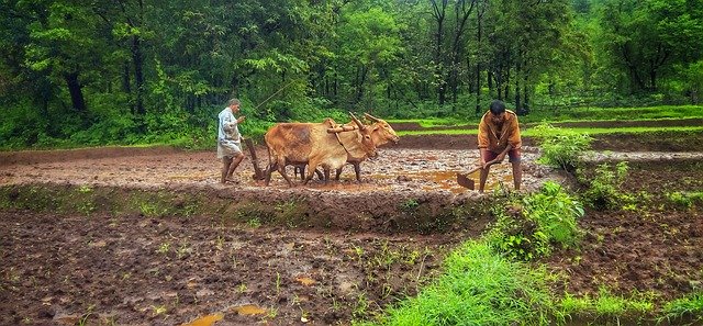 Government Re-launches Kisan Vikas Patra