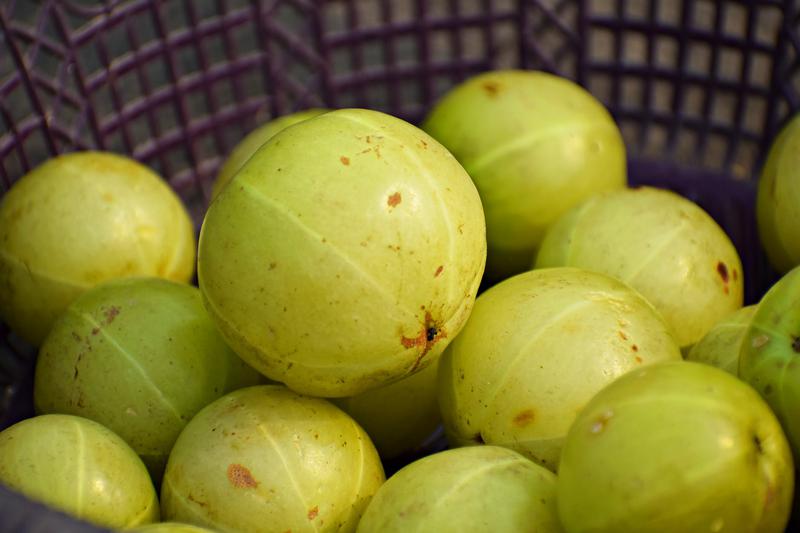 Make Your Own Herbal Amla Juice