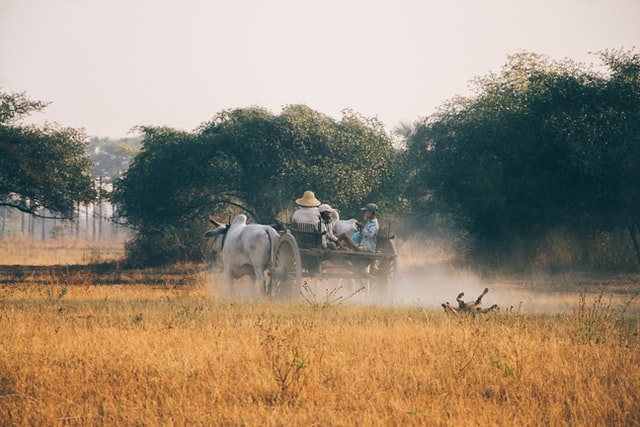 Mayong – The Magical Village in Assam