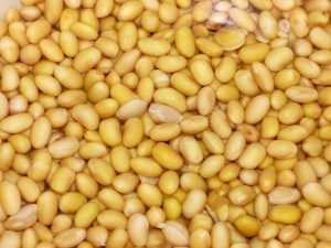 Wonderful Health Benefits of Soy Beans