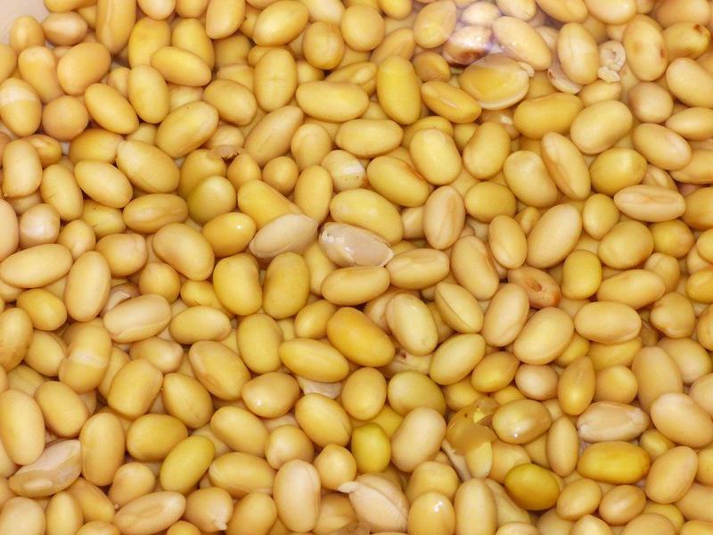 Wonderful Health Benefits of Soy Beans