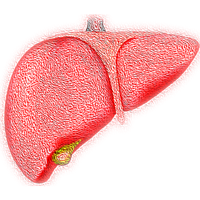 Stamp released on Successful Liver Transplant