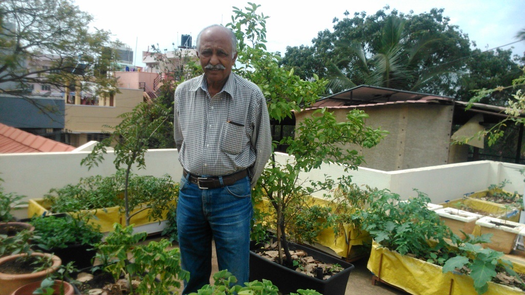 Tips to create a great terrace garden