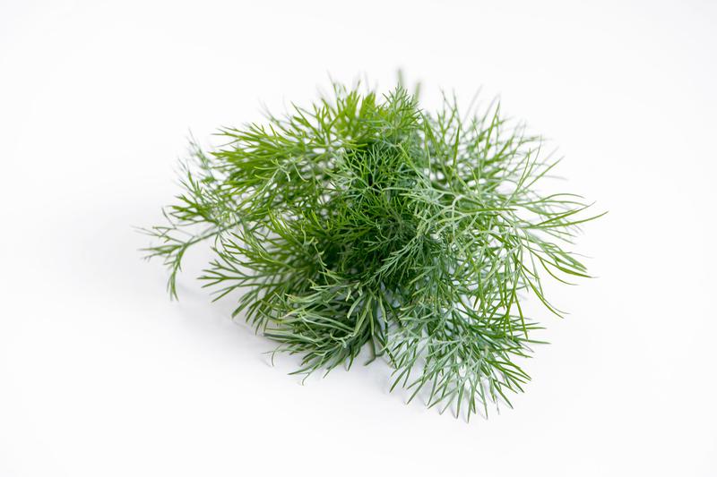 Health benefits of Dill