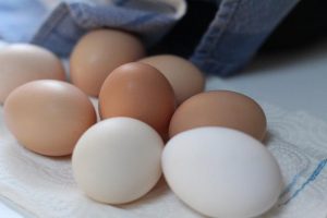 Dangers of eating Rotten eggs