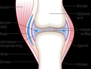 How to take care of your joints