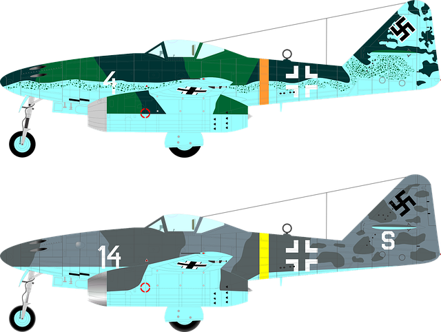 The Indigenous Indian fighter planes Tejas