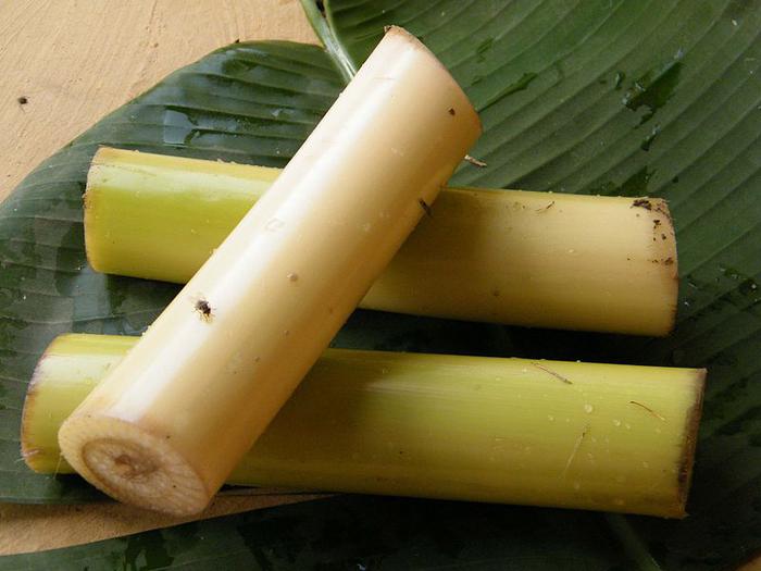 Health benefits of banana stem