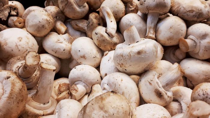 Health Benefits of Mushrooms