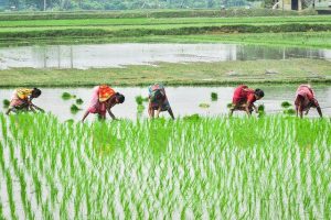 H D Deve Gowda: Modi couldn’t prevent farmer suicide
