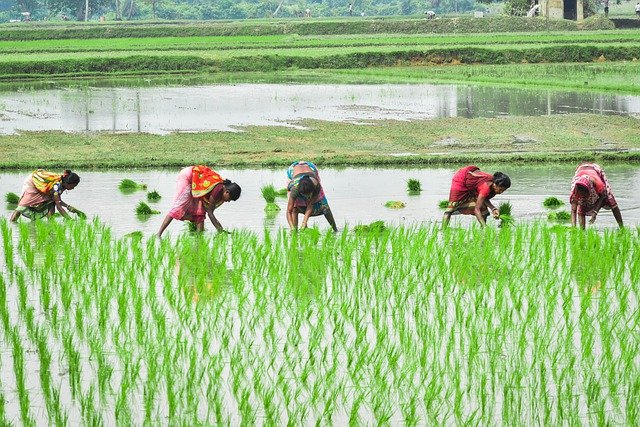 H D Deve Gowda: Modi couldn’t prevent farmer suicide