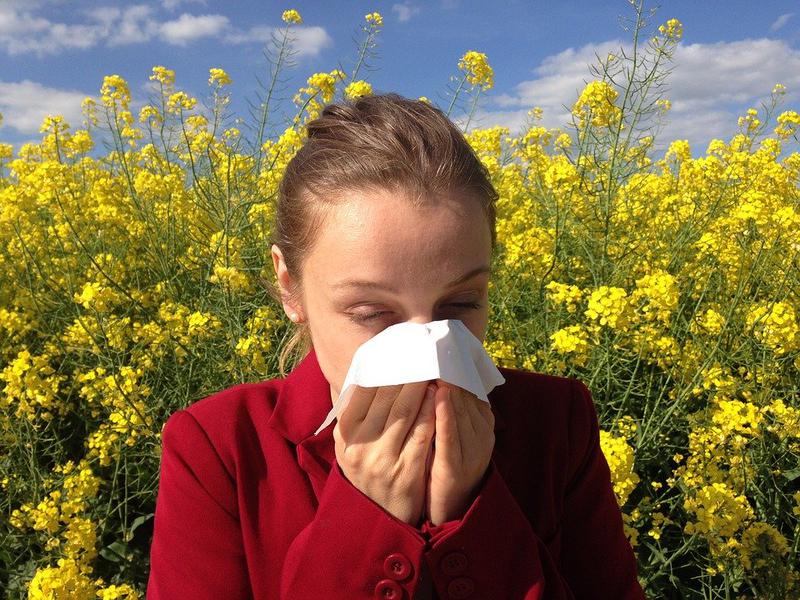 Home Remedies for allergies