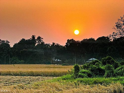 Woman Sarpanch Installs Solar-Powered Cameras in her village