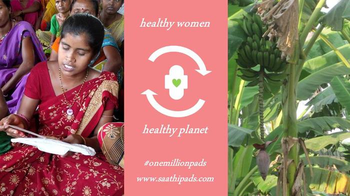 Sanitary pads from banana fibre