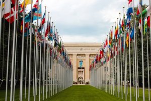 India exposes Pak at UN