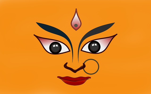 Pushpanjali Navratri Utsav 2016