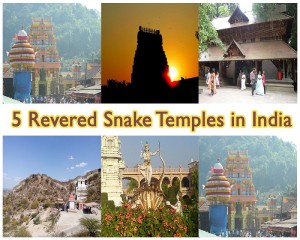 5 Revered Snake Temples in India