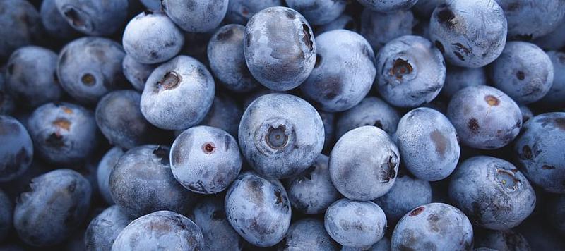 Foods that improve brain power