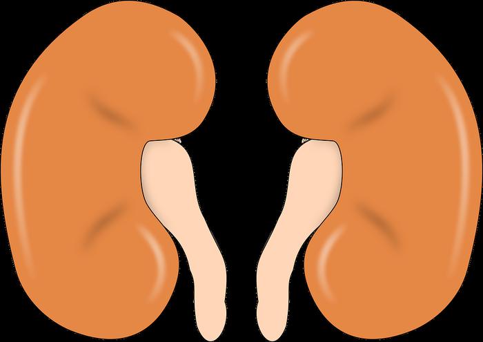 Signs of kidney failure