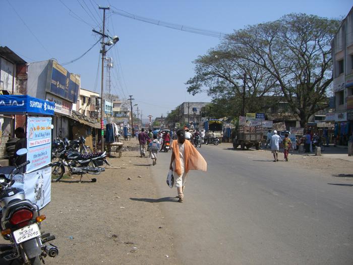 Road made of pulp to prevent potholes