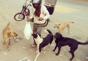 Saving dogs is her passion