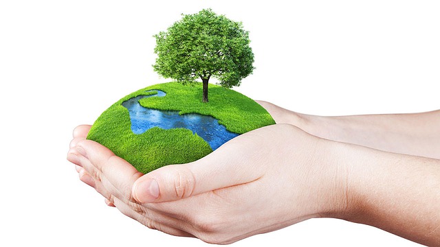 Kerala initiates ‘green mission’ on World Environment Day