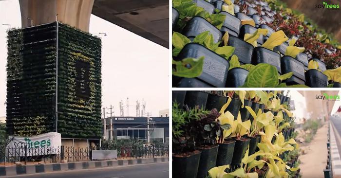 Bengaluru gets second vertical garden