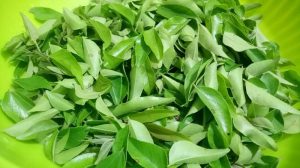 Benefits of curry leaves
