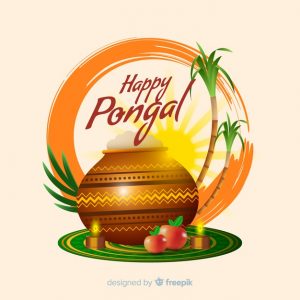 Pongal festival rituals