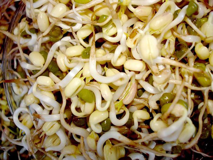 Health benefits of Sprouts