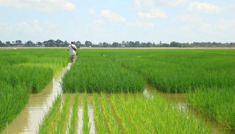 NABARD’s water atlas to help farmers get water