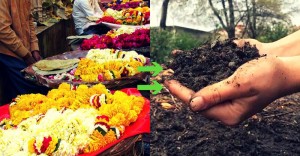 Temple Flowers turned to Organic Manure