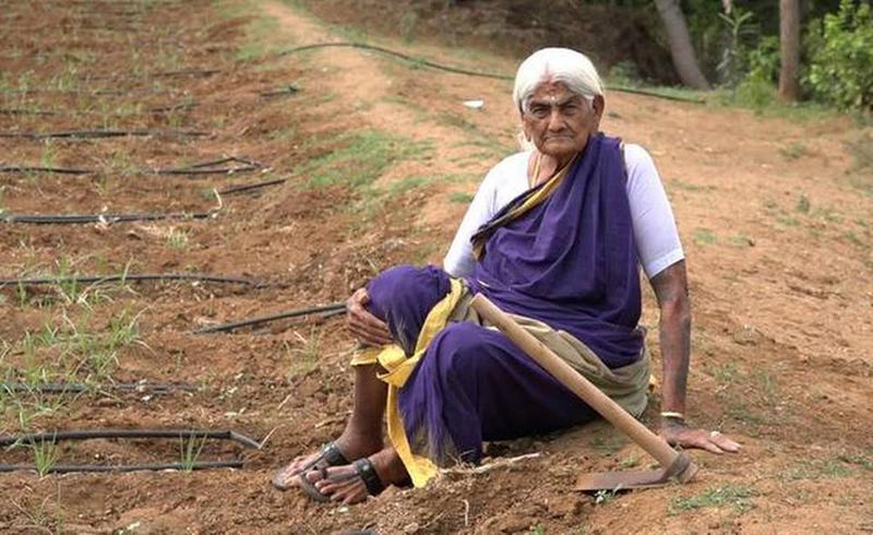 Hard work is the secret of this 103-year-old