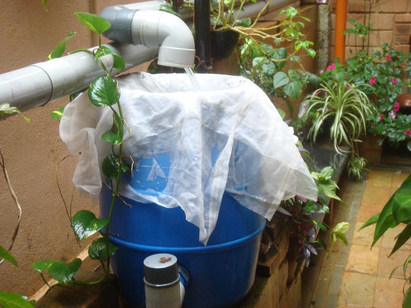 Sabari Terrace’s rainwater harvesting benefits them a lot