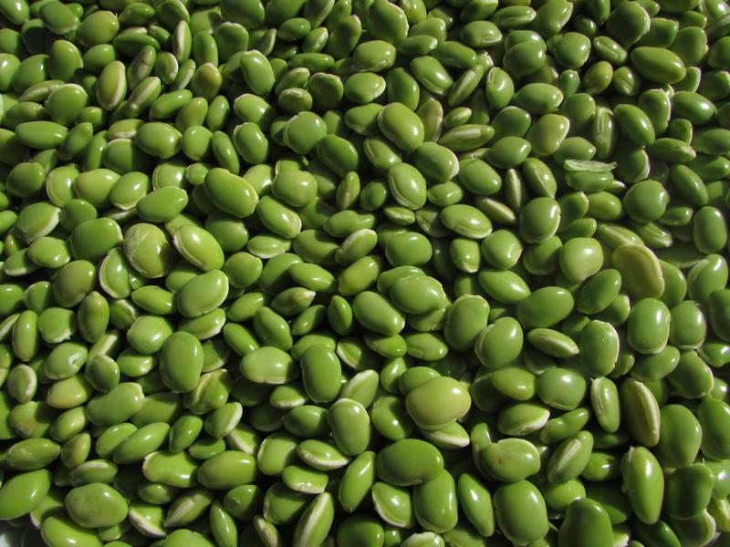 Health Benefits of Lima Beans