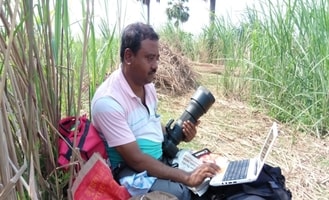 Man grows 25,000 trees