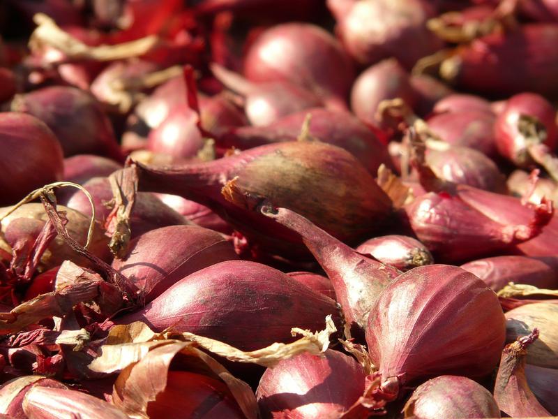 Health Benefits of Shallots