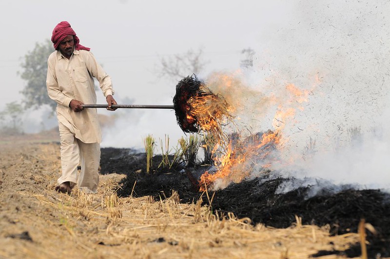 Crop burning leads to severe pollution: NGI