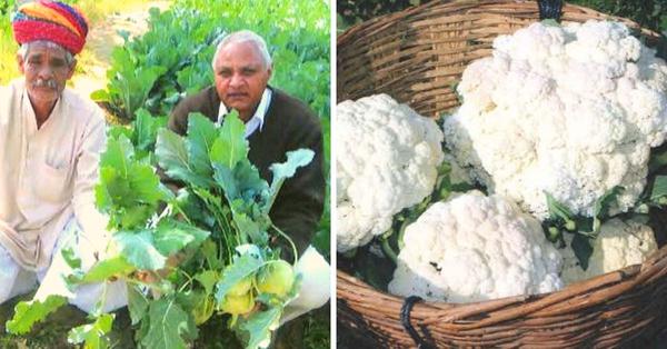 72-year old farmer receives Padma Shri