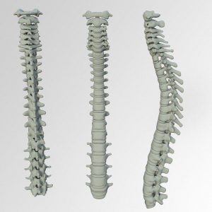 Tips to keep your spine healthy