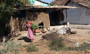 Madhya Pradesh villages witness rise in cancer deaths