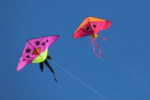 Why people fly kites during Makar Sankranti