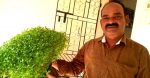 Chennai entrepreneur earns lakhs growing microgreens