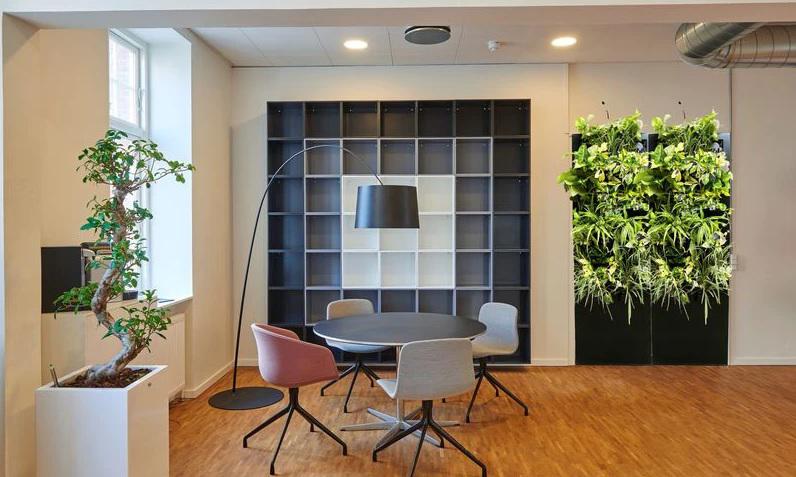 OxyGarden helps purify indoor air