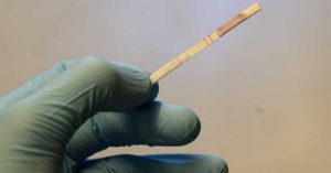 Scientists develop a paper strip COVID-19 test