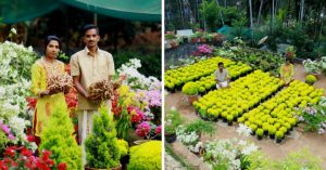 Kerala couple earns lakhs of rupees by growing Bougainvillaea