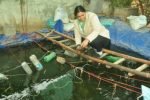 Agra woman earns lakhs with pearl growing
